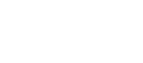 Vivace International Corporation